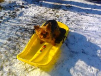 /album/yorkshire2014-cz/a2012-12-09-12-08-35-jpg/